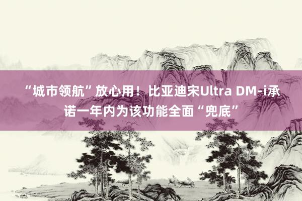 “城市领航”放心用！比亚迪宋Ultra DM-i承诺一年内为该功能全面“兜底”