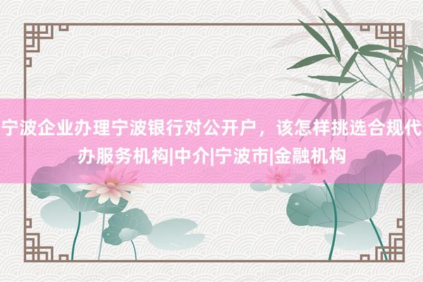 宁波企业办理宁波银行对公开户，该怎样挑选合规代办服务机构|中介|宁波市|金融机构