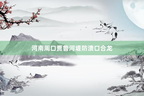 河南周口贾鲁河堤防溃口合龙