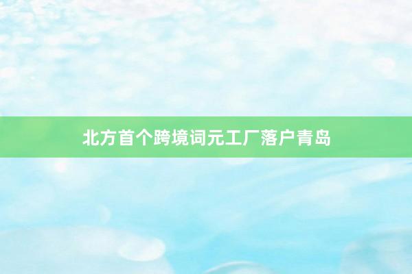 北方首个跨境词元工厂落户青岛