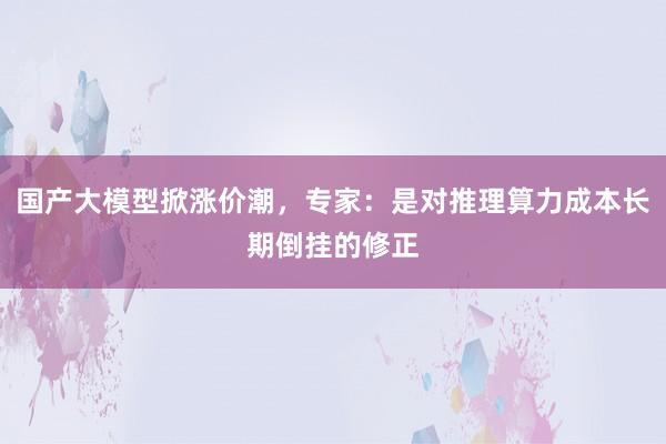 国产大模型掀涨价潮，专家：是对推理算力成本长期倒挂的修正