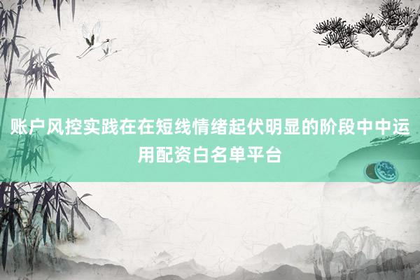 账户风控实践在在短线情绪起伏明显的阶段中中运用配资白名单平台