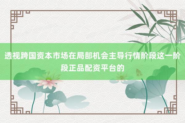 透视跨国资本市场在局部机会主导行情阶段这一阶段正品配资平台的
