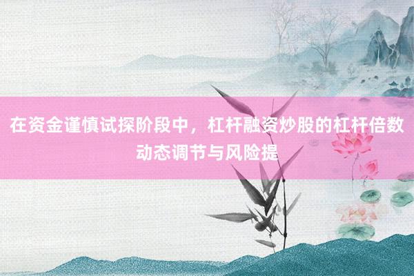 在资金谨慎试探阶段中，杠杆融资炒股的杠杆倍数动态调节与风险提