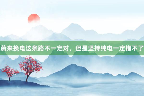 蔚来换电这条路不一定对，但是坚持纯电一定错不了