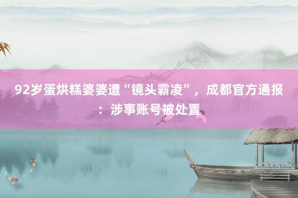92岁蛋烘糕婆婆遭“镜头霸凌”，成都官方通报：涉事账号被处置