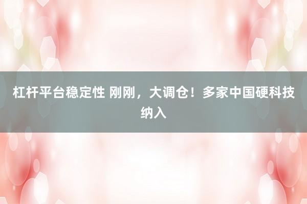 杠杆平台稳定性 刚刚，大调仓！多家中国硬科技纳入
