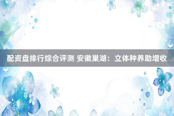 配资盘排行综合评测 安徽巢湖：立体种养助增收
