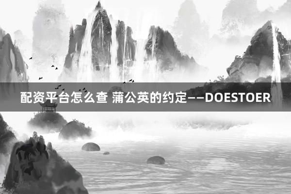 配资平台怎么查 蒲公英的约定——DOESTOER