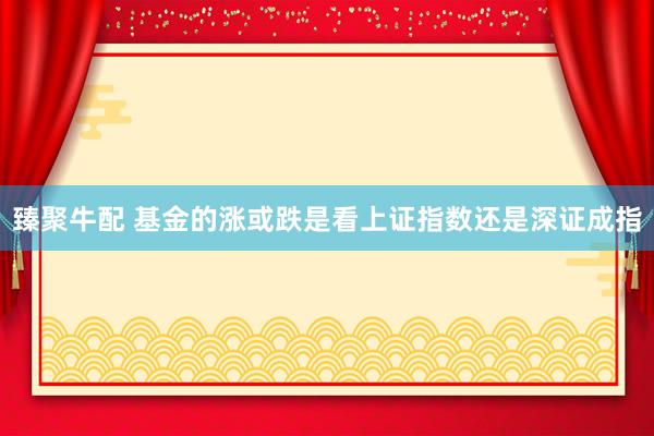 臻聚牛配 基金的涨或跌是看上证指数还是深证成指