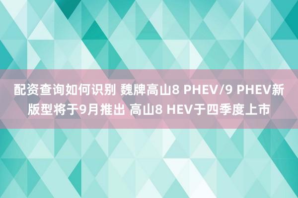 配资查询如何识别 魏牌高山8 PHEV/9 PHEV新版型将于9月推出 高山8 HEV于四季度上市