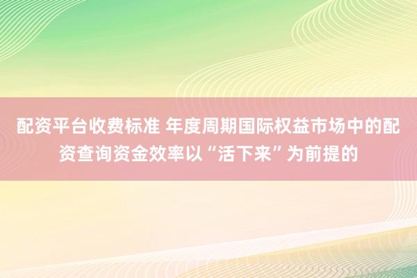 配资平台收费标准 年度周期国际权益市场中的配资查询资金效率以“活下来”为前提的
