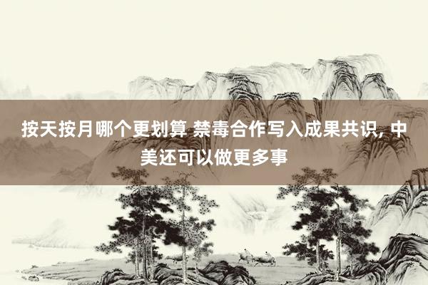 按天按月哪个更划算 禁毒合作写入成果共识, 中美还可以做更多事