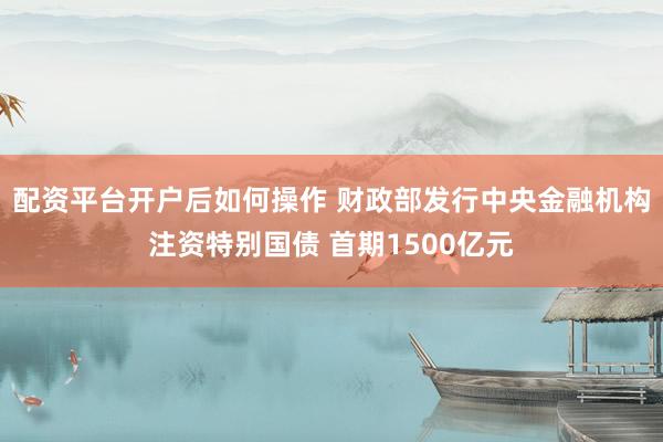 配资平台开户后如何操作 财政部发行中央金融机构注资特别国债 首期1500亿元