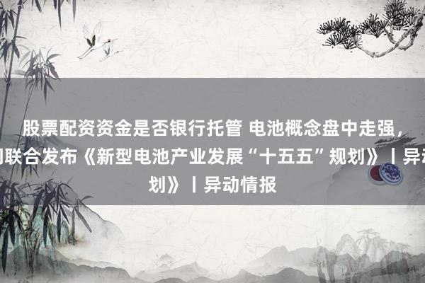 股票配资资金是否银行托管 电池概念盘中走强，七部门联合发布《新型电池产业发展“十五五”规划》丨异动情报
