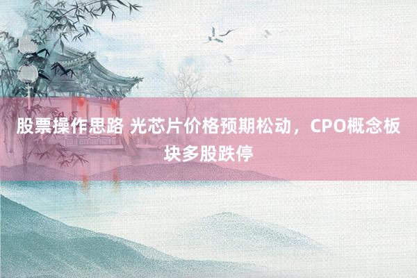 股票操作思路 光芯片价格预期松动，CPO概念板块多股跌停
