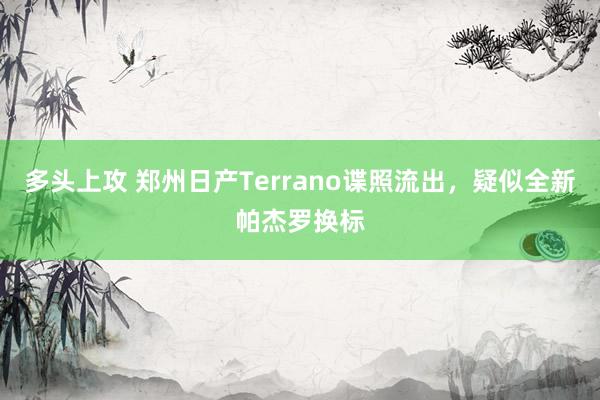 多头上攻 郑州日产Terrano谍照流出,疑似全新帕杰罗换标